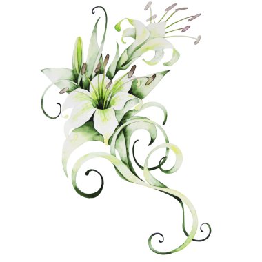 Suluboya beyaz lilyum