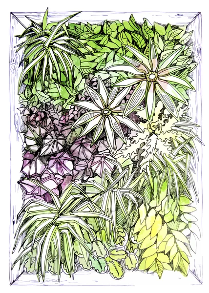 Akvarell függőleges kert — Stock Vector