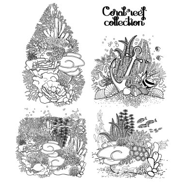 Graphic coral reef collection clipart