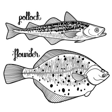 Grafik balık koleksiyonu