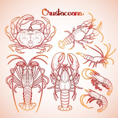 Graphic crustaceans collection