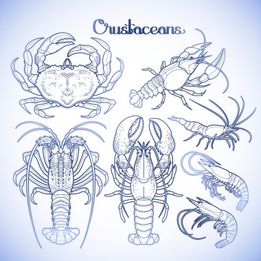Graphic crustaceans collection clipart