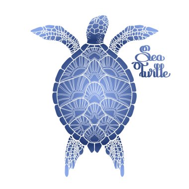 hawksbill deniz kaplumbağası