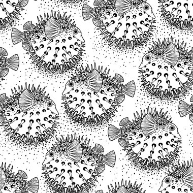 Graphic puffer fish pattern