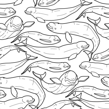 Grafik beluga balinası desen
