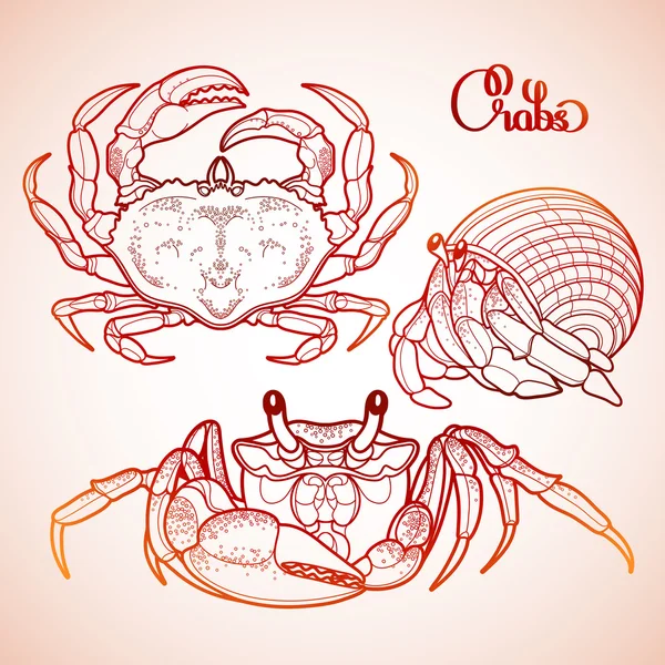 Coleção gráfica de caranguejo — Vetor de Stock