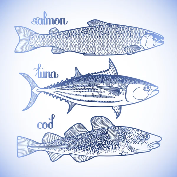 Colección gráfica de peces — Archivo Imágenes Vectoriales