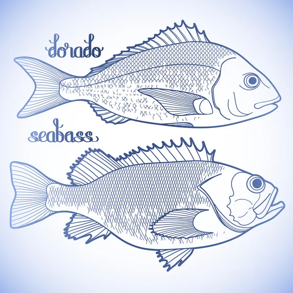 Coleção gráfica de peixes — Vetor de Stock