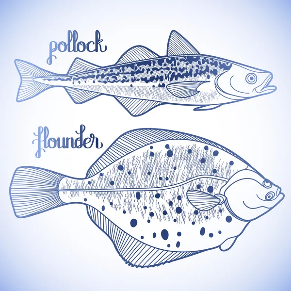 Graficzna kolekcja ryb — Wektor stockowy
