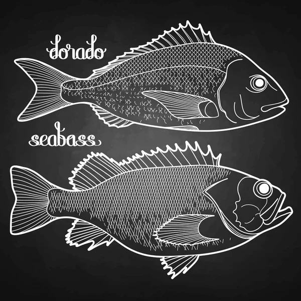 Colección gráfica de peces — Vector de stock