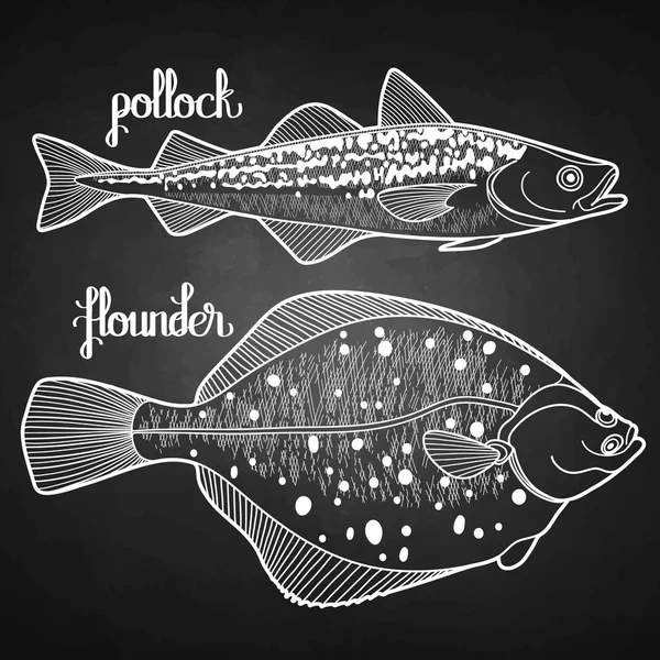 Colección gráfica de peces — Vector de stock