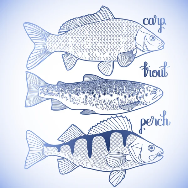 Grafik balık koleksiyonu — Stok Vektör