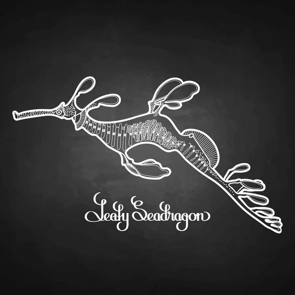 Grafische lommerrijke Seadragon — Stockvector