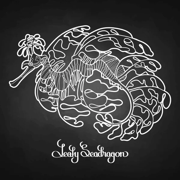 Seadragon feuillet graphique — Image vectorielle