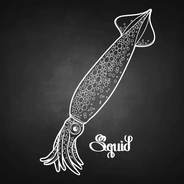 Grafische squid in lijn Art stijl — Stockvector