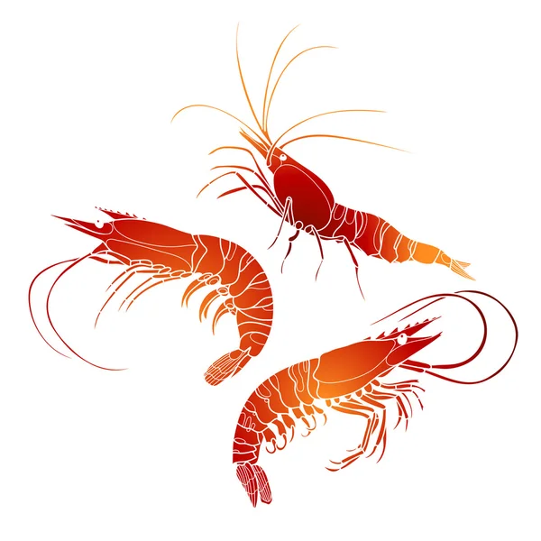 Graphic  shrimps collection — Stock Vector