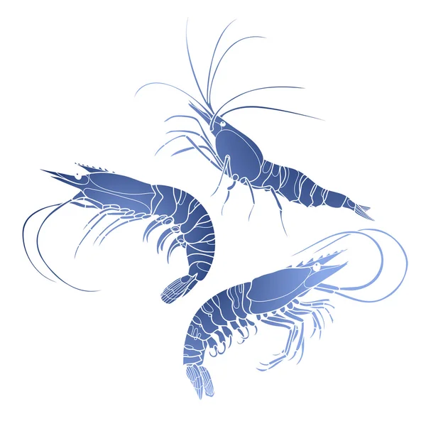 Grafik karides koleksiyonu