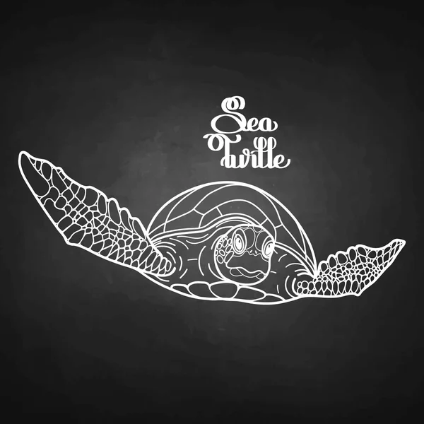 玳瑁海龟 — 图库矢量图片