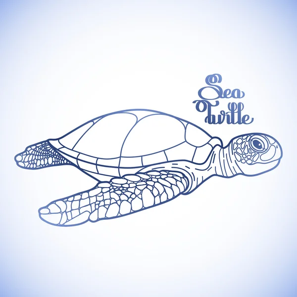 Tortue pèlerine tortue marine — Image vectorielle