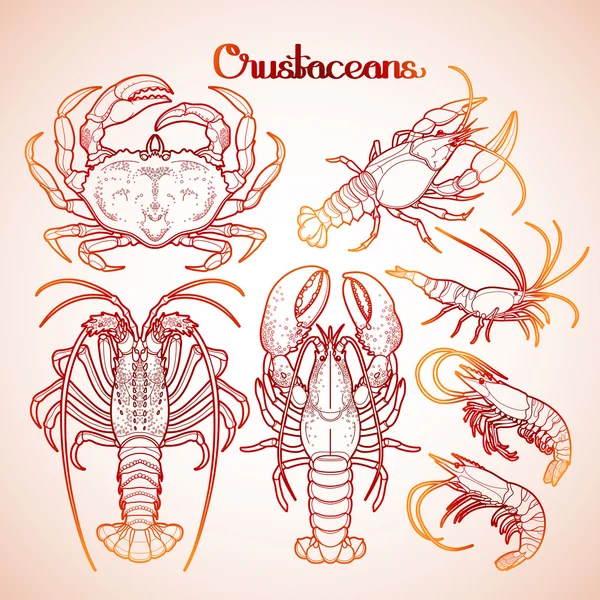 Graphic crustaceans collection — 스톡 벡터