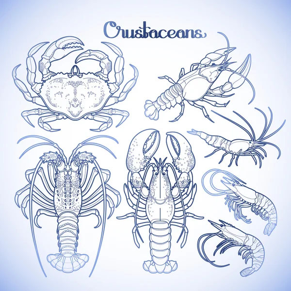 Koleksi crustacea grafis - Stok Vektor