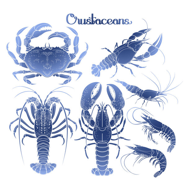 Graphic crustaceans collection