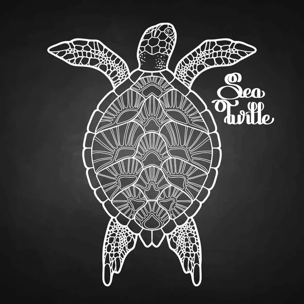 Hawksbill deniz kaplumbağası — Stok Vektör