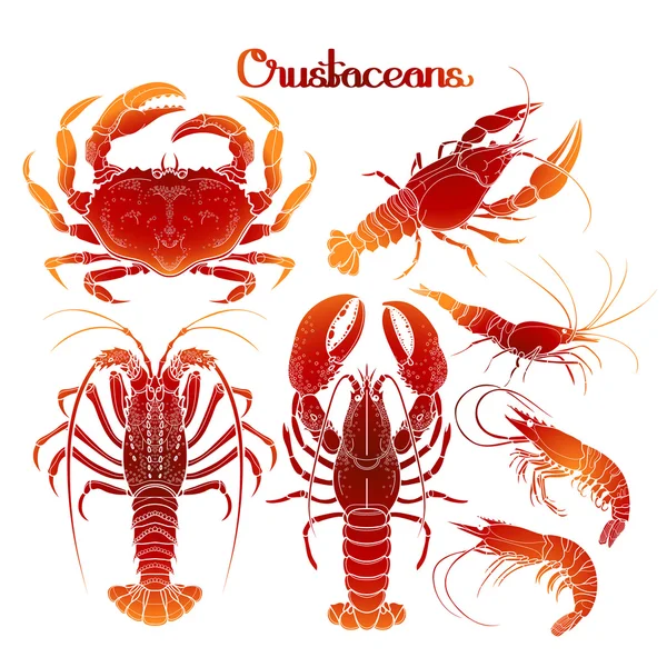 Graphic crustaceans collection — Stockvector