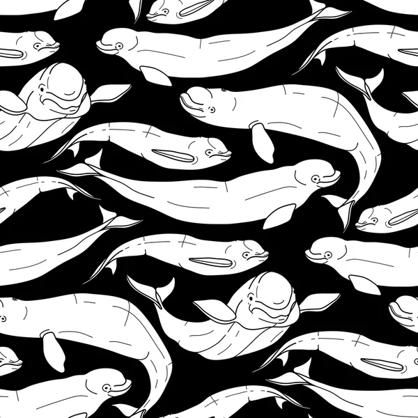 Grapnic beluga whale pattern — Stock Vector