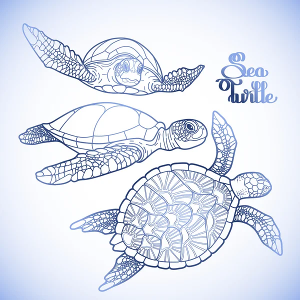 Hawksbill sea turtle collection — Stock Vector