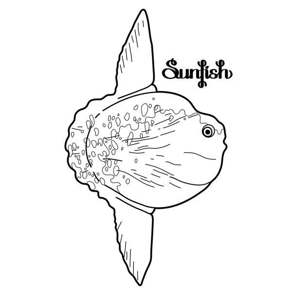 Projeto gráfico sunfish — Vetor de Stock