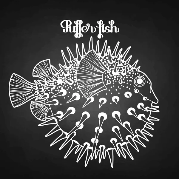 Graphic puffer fish - Stok Vektor