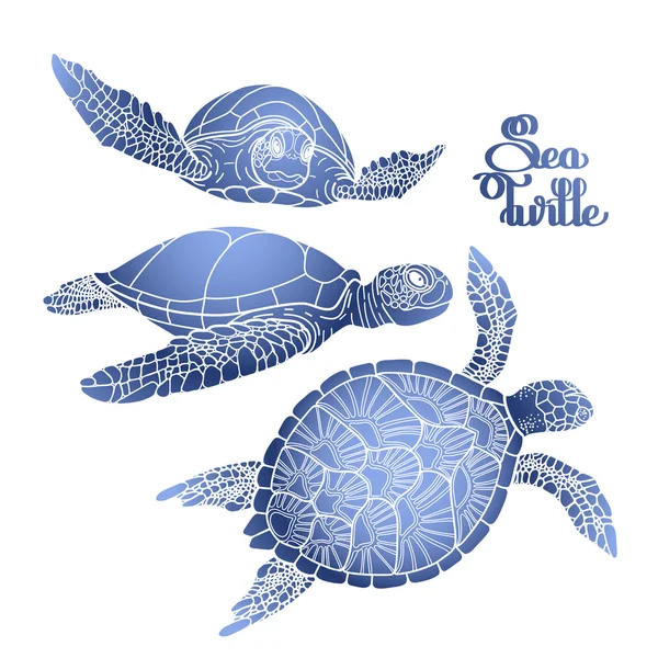 Hawksbill deniz kaplumbağası koleksiyonu — Stok Vektör