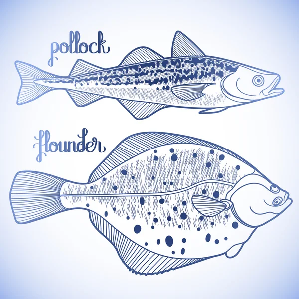 Graphic fish collection — Stock Illustration Graphic fish collection Stock Illustration