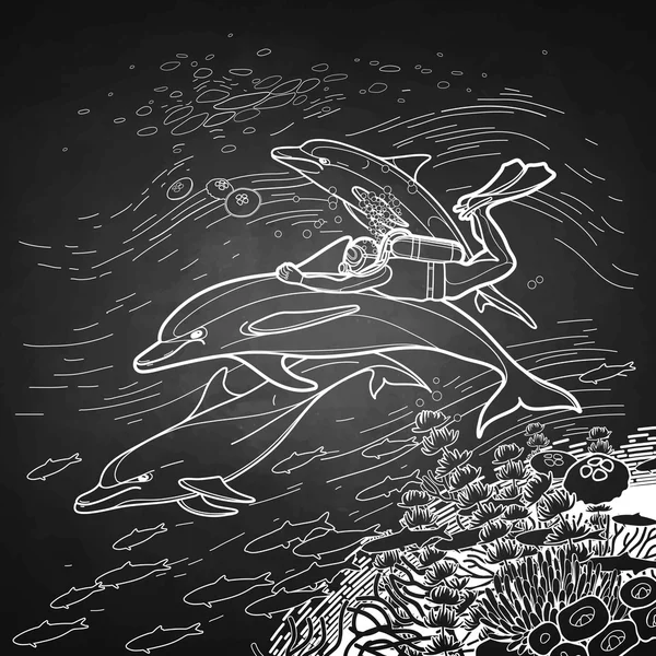 Grafické potápěč na koni delfín — Stockový vektor
