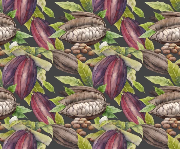 Акварельний візерунок з фруктів какао — стокове фото