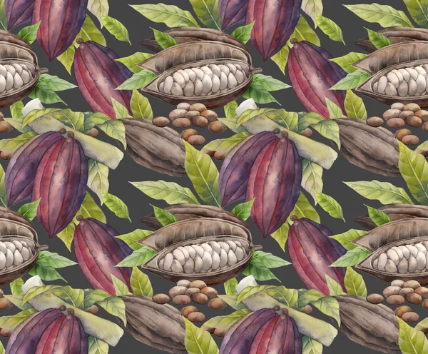 Watercolor cocoa fruit pattern — Stock Photo, Image