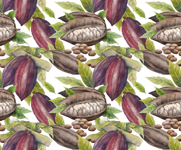 Aquarel Cacao vrucht patroon — Stockfoto