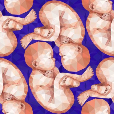 Düşük Poli fetus