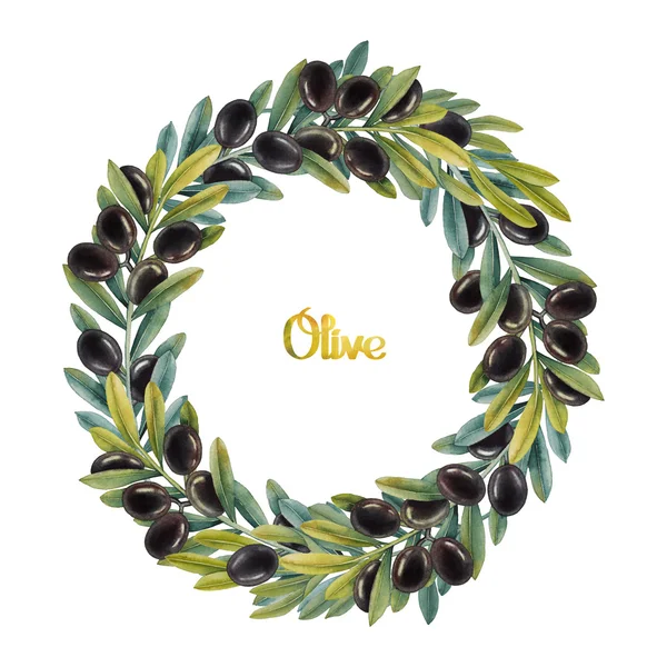 Akvarell oliv krans — Stockfoto