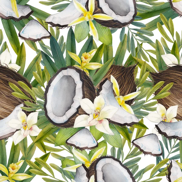 Aquarell Vanilleblüten und Kokosnuss — Stockfoto