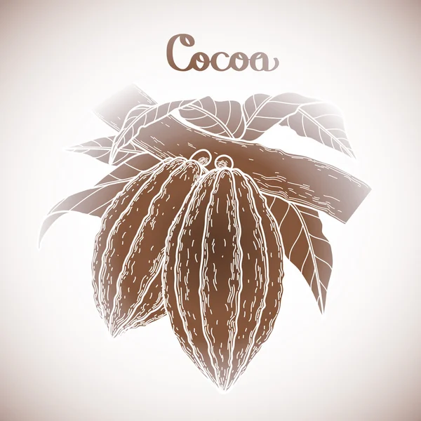 Frutta di cacao grafica — Vettoriale Stock