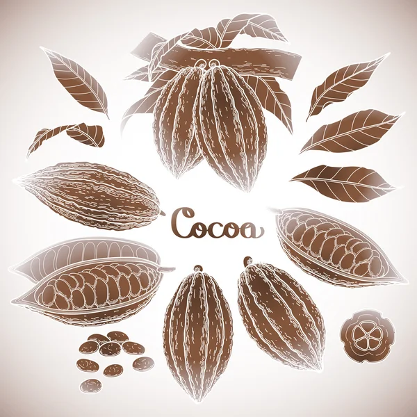 Cacao grafico — Archivo Imágenes Vectoriales