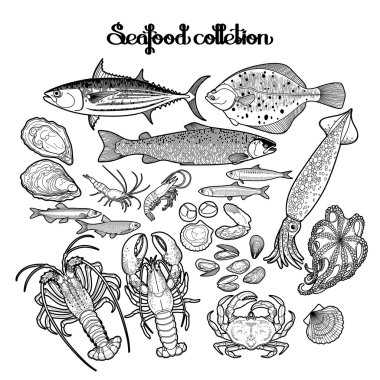 Grafik deniz ürünleri koleksiyonu