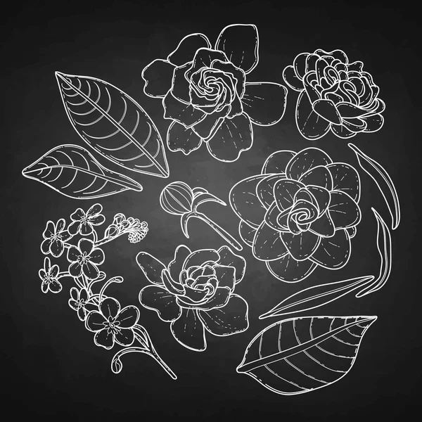 Colección de flores gráficas — Vector de stock