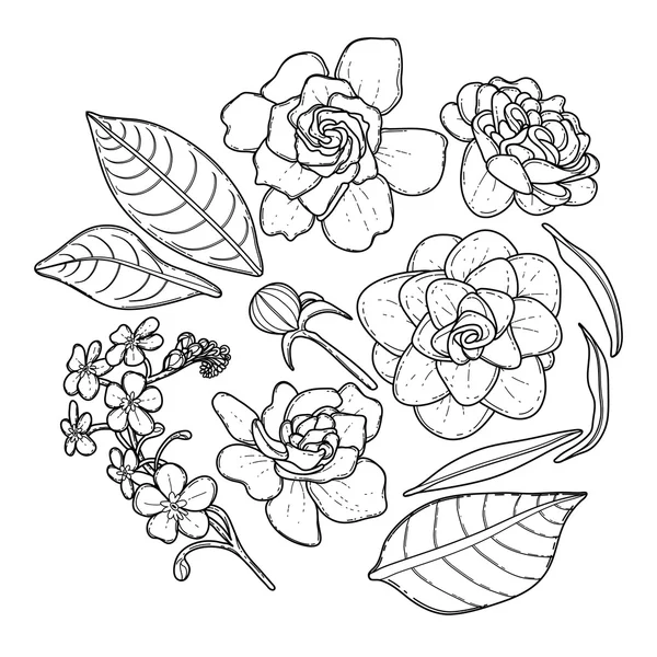 Samling av grafiska blommor — Stock vektor