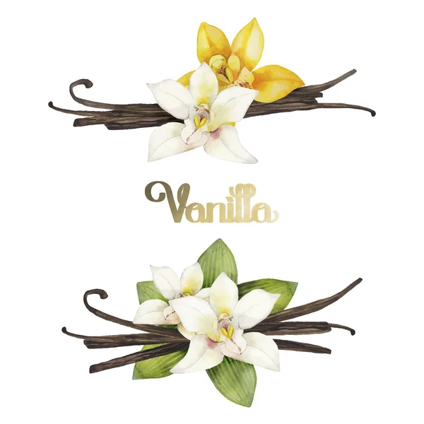 Watercolor vanilla vignettes — Stock Vector