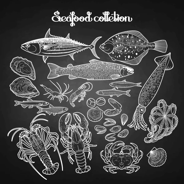Collection graphique de fruits de mer — Image vectorielle