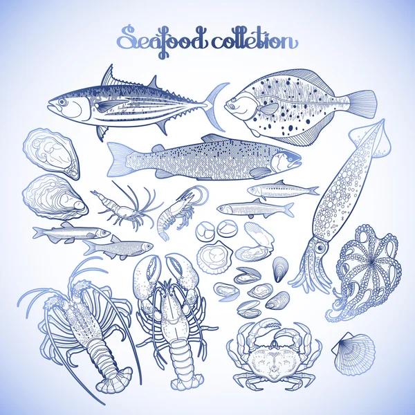 Collection graphique de fruits de mer — Image vectorielle