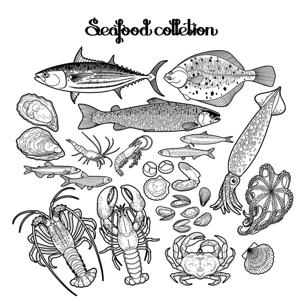 Colección gráfica de mariscos — Vector de stock